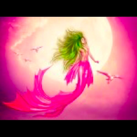 Meet your Posher, Seeker - Picture 1 of 1